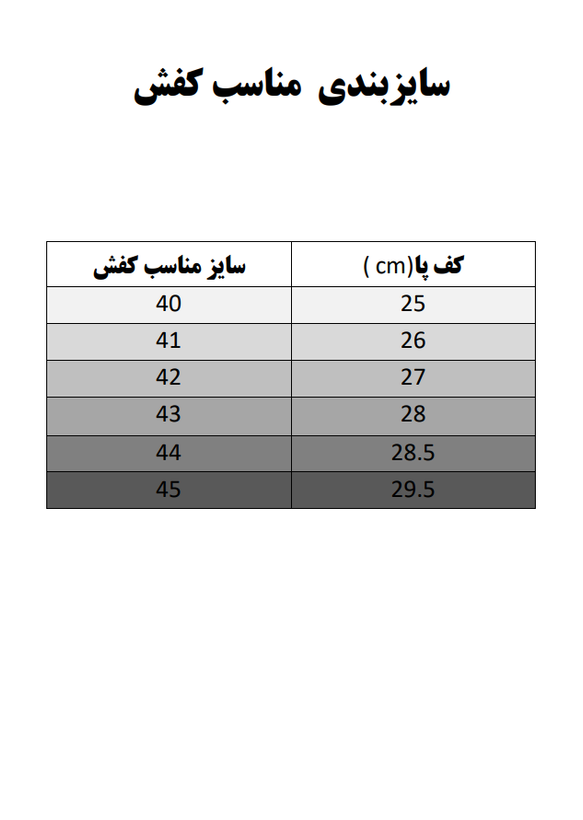 کتونی دراگون جردن کد 33